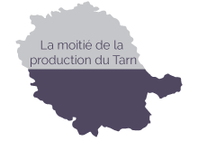 Représentation de la production granit dans le Tarn